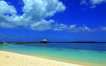 Pier and Bar
